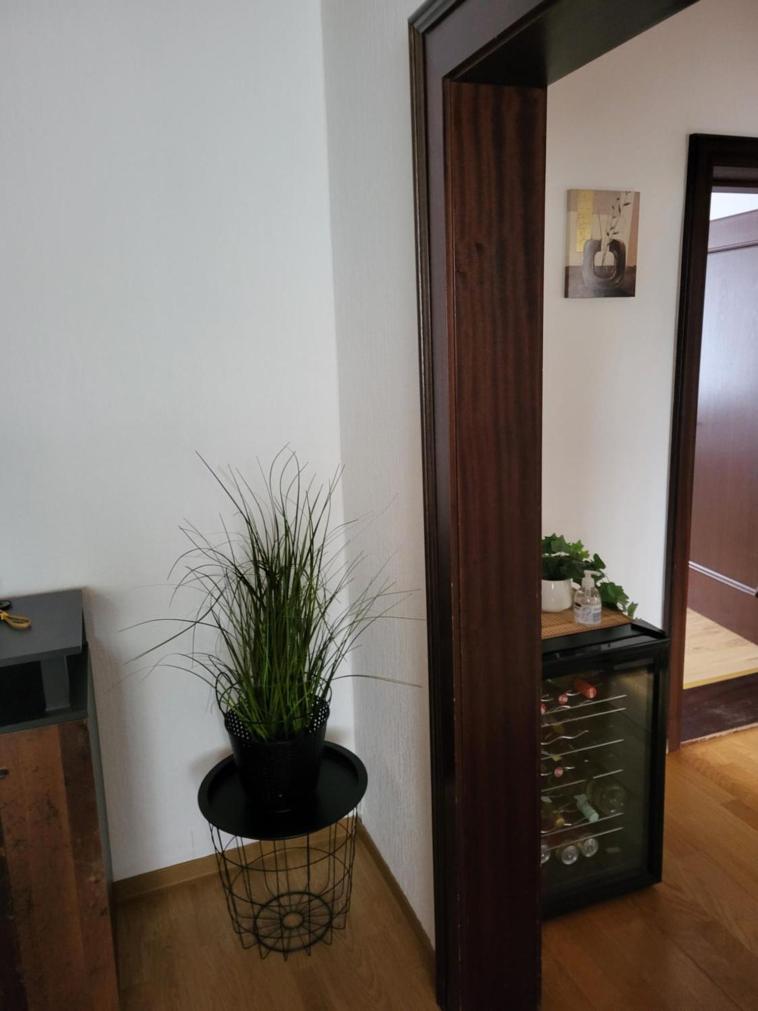 Apartmán Gemuetliches Wohnen In Frauenkirchen Im Burgenland Exteriér fotografie